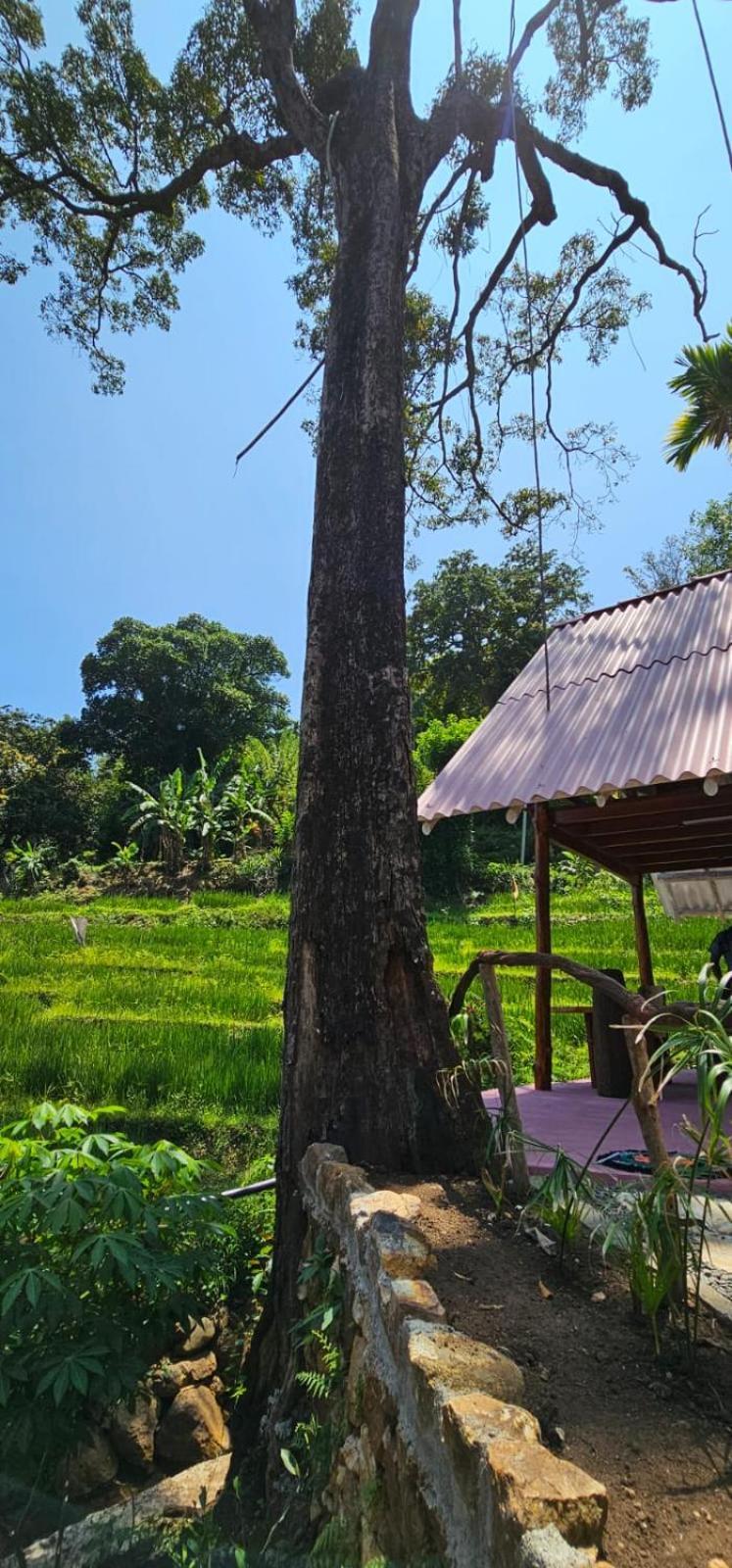 Kingdom Of Rustic Ella Villa Exterior photo